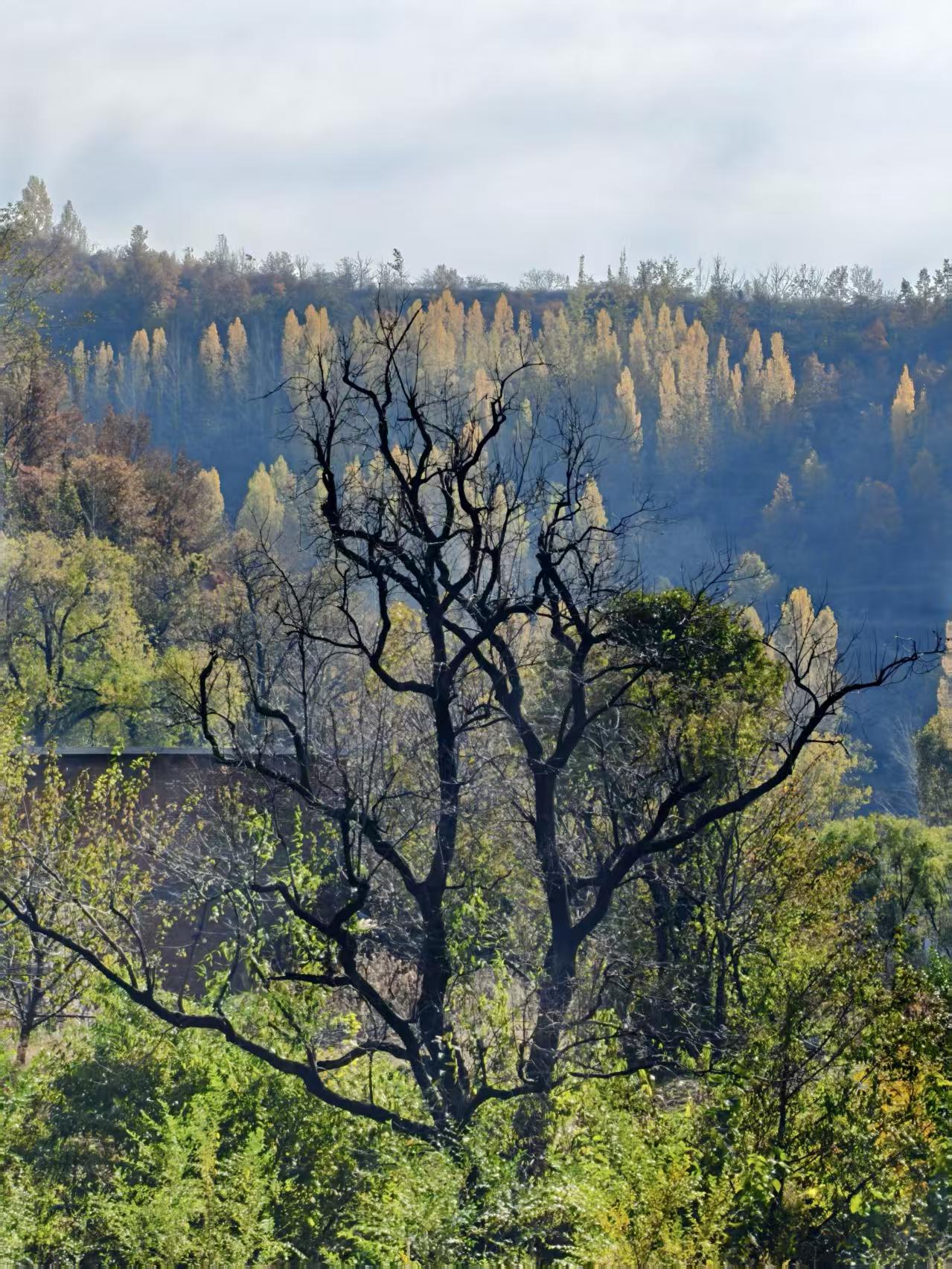 公众号人性厚黑赛道,稳定1天500-1000+,保姆级玩法